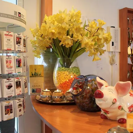 酒店 凯塞酒店 3*